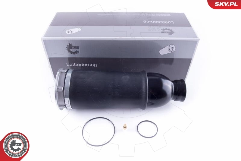 Air Spring, suspension